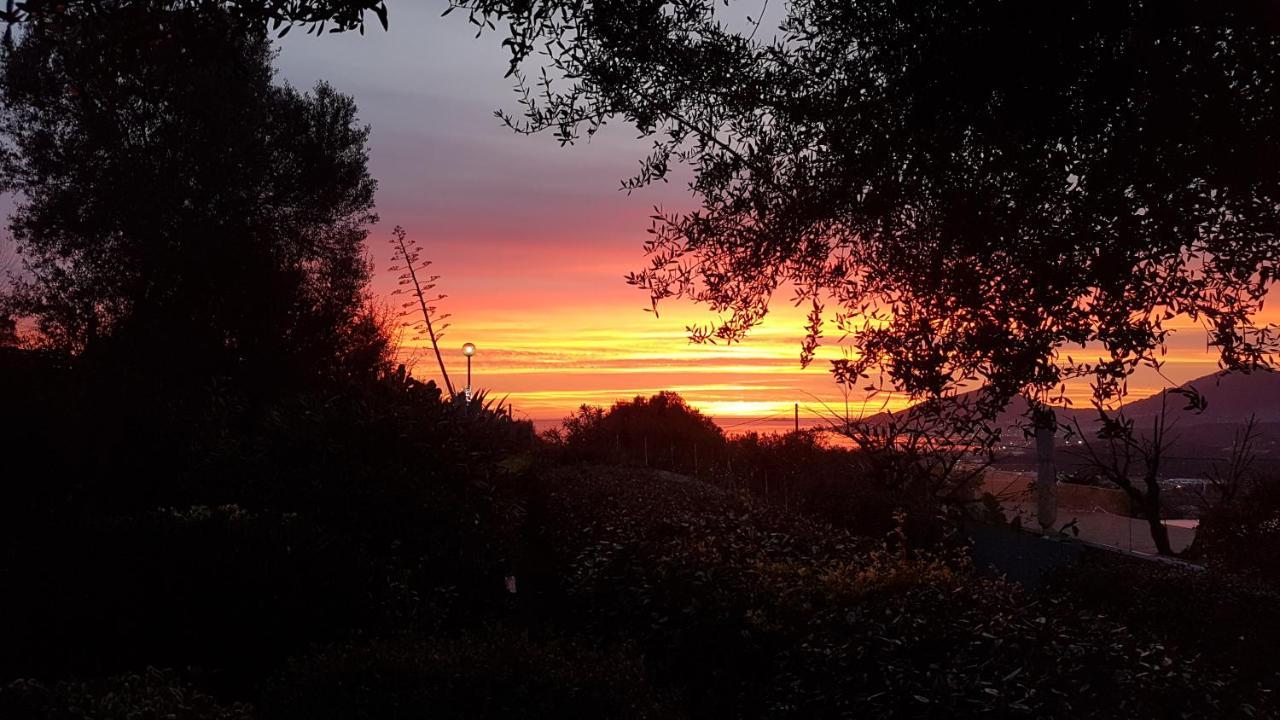Un Charme Absolu Villa Bastelicaccia Dış mekan fotoğraf