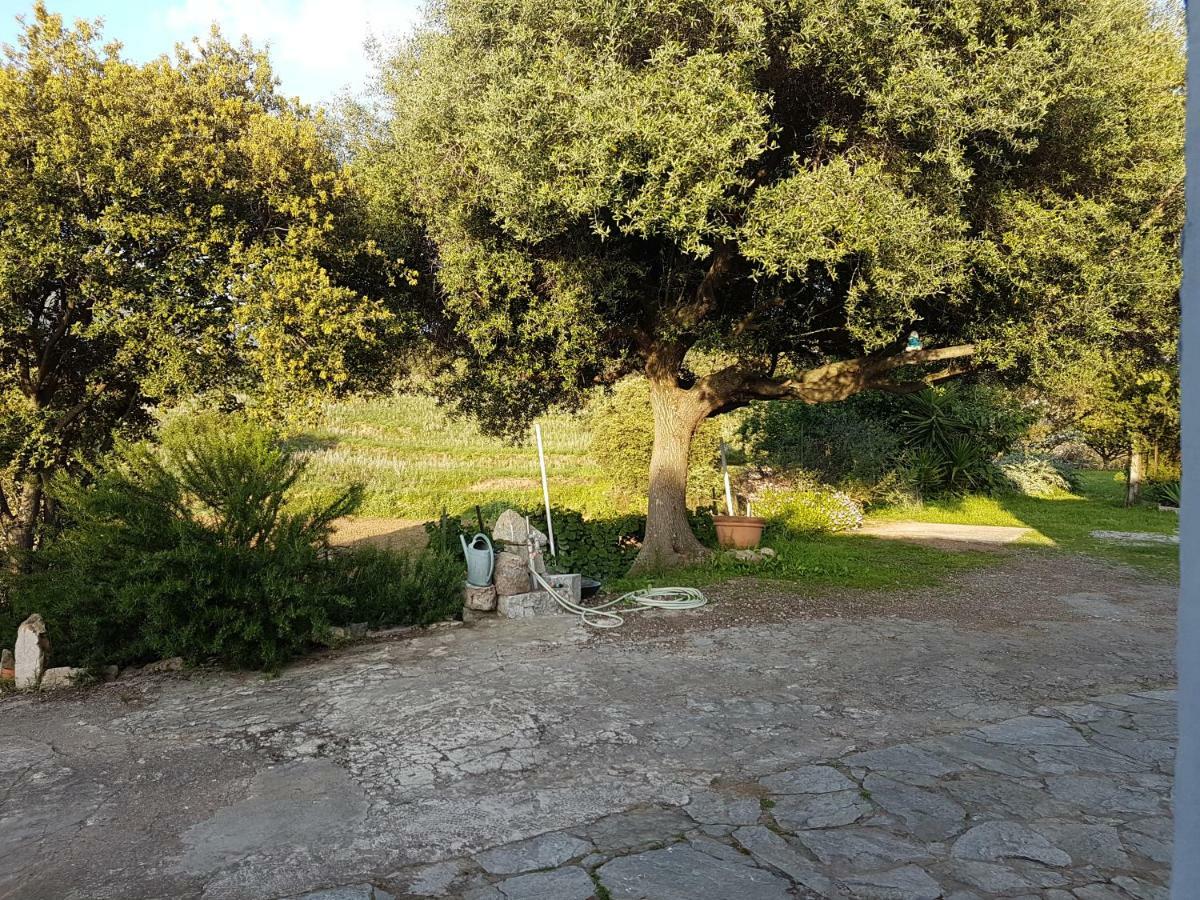 Un Charme Absolu Villa Bastelicaccia Dış mekan fotoğraf